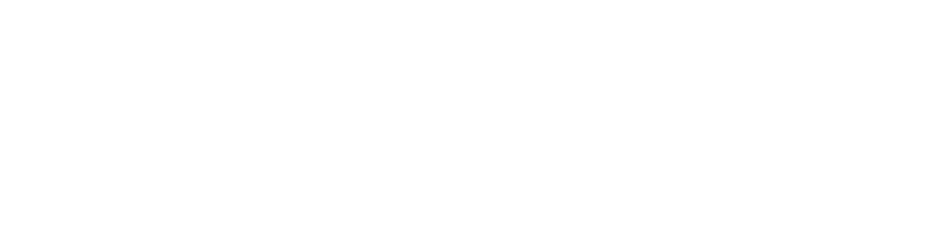 consul logo